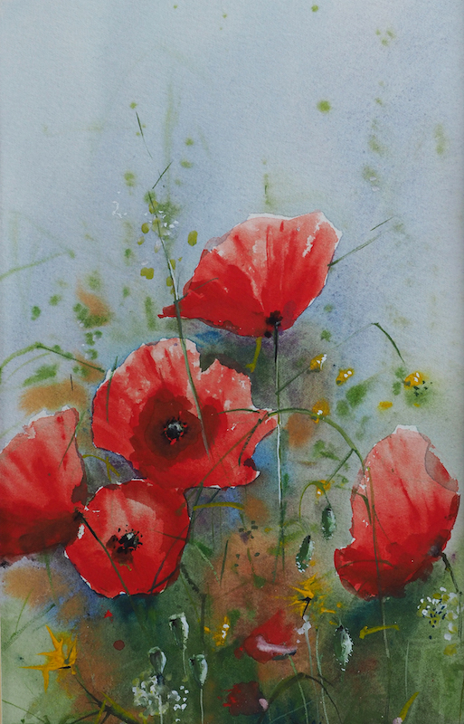 Poppies